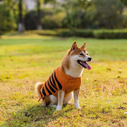 Suéter Teddy para Perros en Halloween Festivo: ¡Diversión y Calidez! 🎃🐾 - EliteMascotas