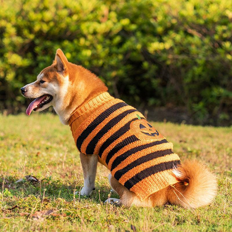 Suéter Teddy para Perros en Halloween Festivo: ¡Diversión y Calidez! 🎃🐾 - EliteMascotas
