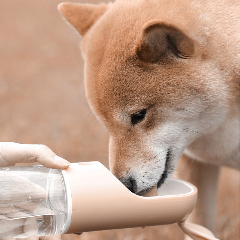 🍼 Botella Portátil 2 en 1 para Mascotas – Agua y Comida en Movimiento 🐕🌿 - EliteMascotas